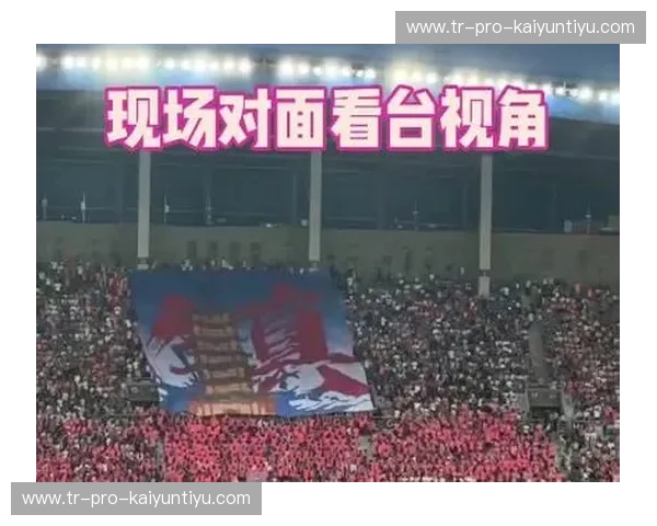 体育球迷观点：在看台与生活之间找寻热爱的边界